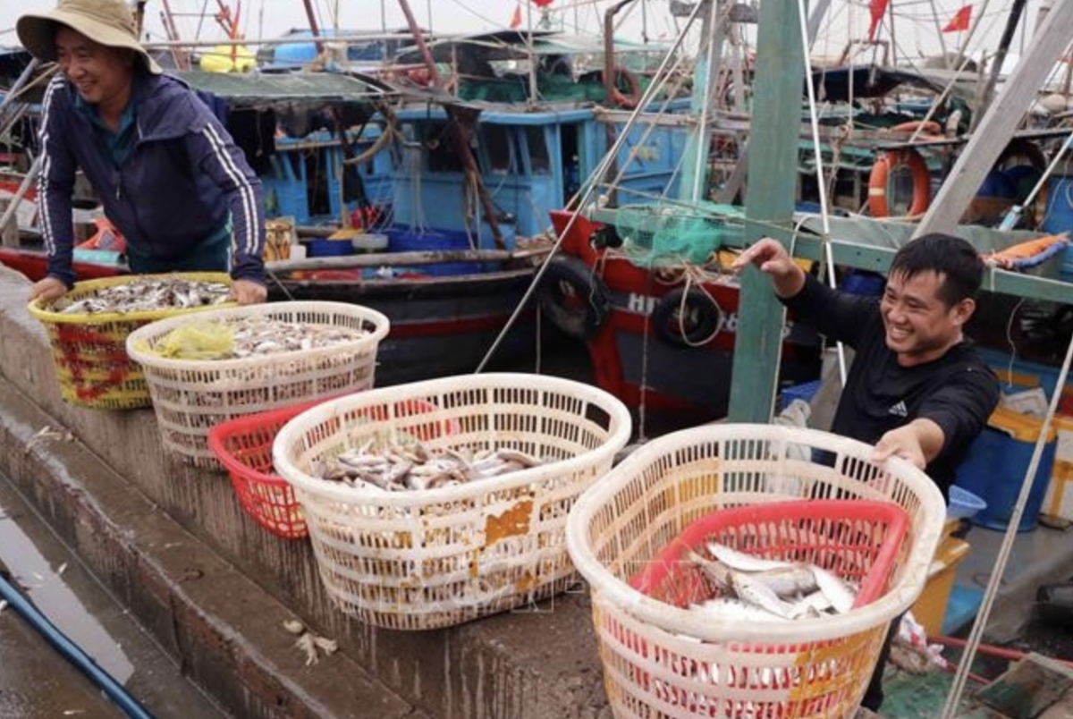 Hai Phong leads Vietnam’s fight against IUU fishing